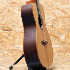 Maestro Guitars VIWE4_4