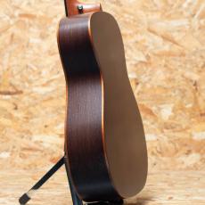 Maestro Guitars VIWE4_5