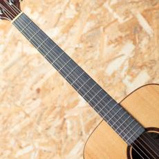 Maestro Guitars VIWE4_6