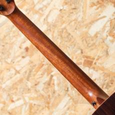 Maestro Guitars VIWE4_7