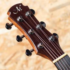Maestro Guitars VIWE4_8