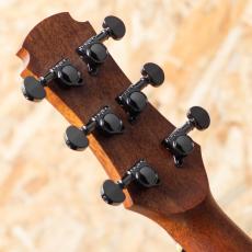 Maestro Guitars VIWE4_9