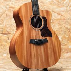 Taylor 24ce