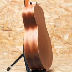 Taylor GS Mini-e Special Edition Honeyburst_5