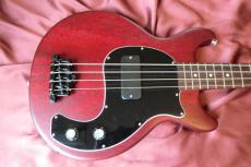 Gibson Les Paul Jr. Tribute DC Bass_3