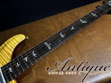 Paul Reed Smith [PRS] Private Stock #3068 DGT 2010 Apricot High Gross World Limited #17 of 25 EX++ 3.7kg "Pernambuco Neck"_6