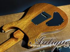 Paul Reed Smith [PRS] Private Stock #3068 DGT 2010 Apricot High Gross World Limited #17 of 25 EX++ 3.7kg "Pernambuco Neck"_8