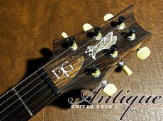 Paul Reed Smith [PRS] Private Stock #3068 DGT 2010 Apricot High Gross World Limited #17 of 25 EX++ 3.7kg "Pernambuco Neck"_9