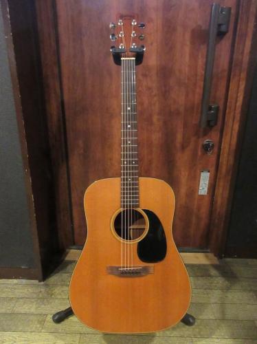 Martin 1981 D-18