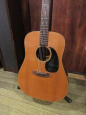 Martin 1981 D-18_2