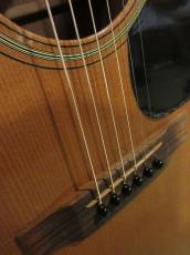 Martin 1981 D-18_3