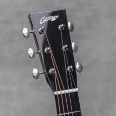 Collings D1A Adirondack Spruce / 2010_9