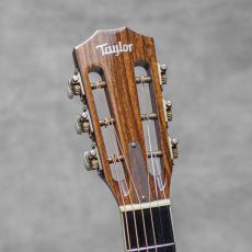 Taylor GC8 / 2007_9