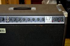 Norlin Gibson Lab Series L7_3