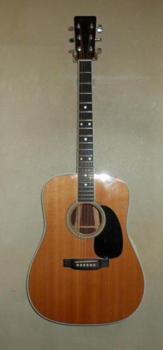 Martin D-35P