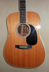Martin D-35P_2