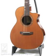 Fonzo Guitar V201C MINI VC