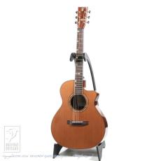 Fonzo Guitar V201C MINI VC_2