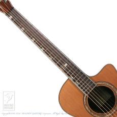 Fonzo Guitar V201C MINI VC_5