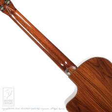 Fonzo Guitar V201C MINI VC_6