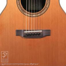 Fonzo Guitar V201C MINI VC_10