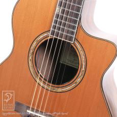 Fonzo Guitar V201C MINI VC_11
