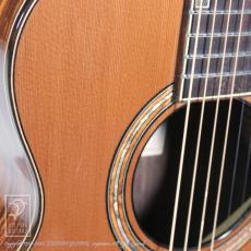 Fonzo Guitar V201C MINI VC_12