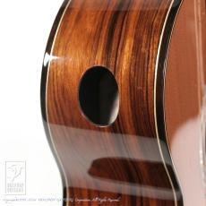 Fonzo Guitar V201C MINI VC_13