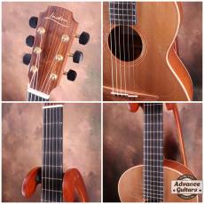 Lowden 2010s WL-22 MA/RC_7