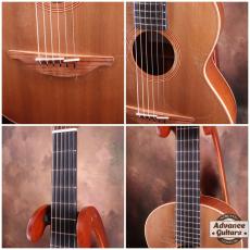 Lowden 2010s WL-22 MA/RC_8