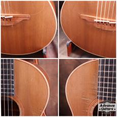 Lowden 2010s WL-22 MA/RC_9