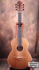 Lowden 2010s WL-22 MA/RC_14