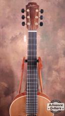 Lowden 2010s WL-22 MA/RC_15