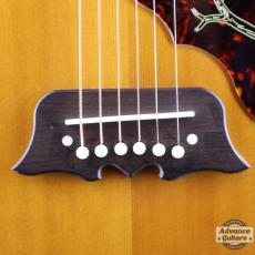 Epiphone 2021年製 FT120 Masterbilt Excellente_14