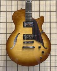 Sadowsky Semi-Hollow Model_2