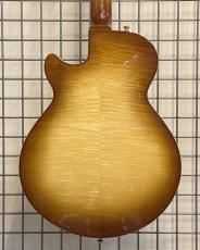 Sadowsky Semi-Hollow Model_4