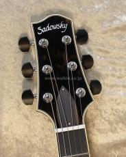 Sadowsky Semi-Hollow Model_5