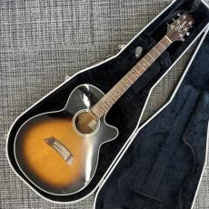 Takamine PT-106_2