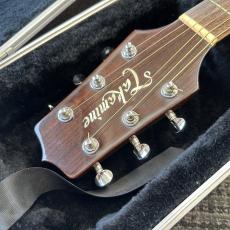 Takamine PT-106_4