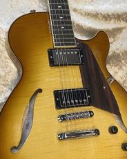 Sadowsky Semi-Hollow Model_6