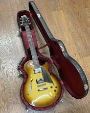 Sadowsky Semi-Hollow Model_8