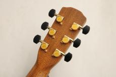 Morris SC-61 #2303020 【Thin Body ×ベネチアン・カッタウェイ】_8