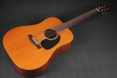 Martin D-18_10