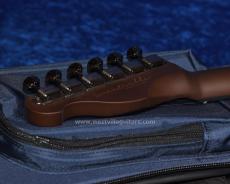 Westville Westel Semi-Hollow (Alder top-Alder back / C8-AL4) _7