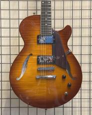 Sadowsky Semi-Hollow Model_2