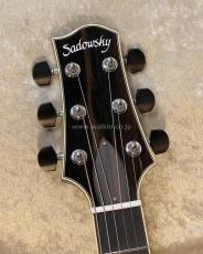 Sadowsky Semi-Hollow Model_5