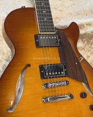 Sadowsky Semi-Hollow Model_6