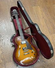 Sadowsky Semi-Hollow Model_8