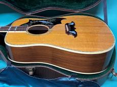 Gibson DOVE Rosewood Special Edition_4