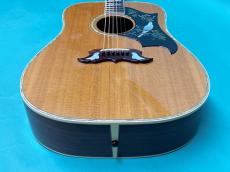Gibson DOVE Rosewood Special Edition_11